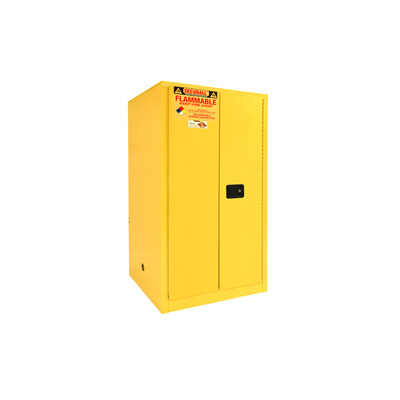 Securall Flammable Storage Cabinet 60